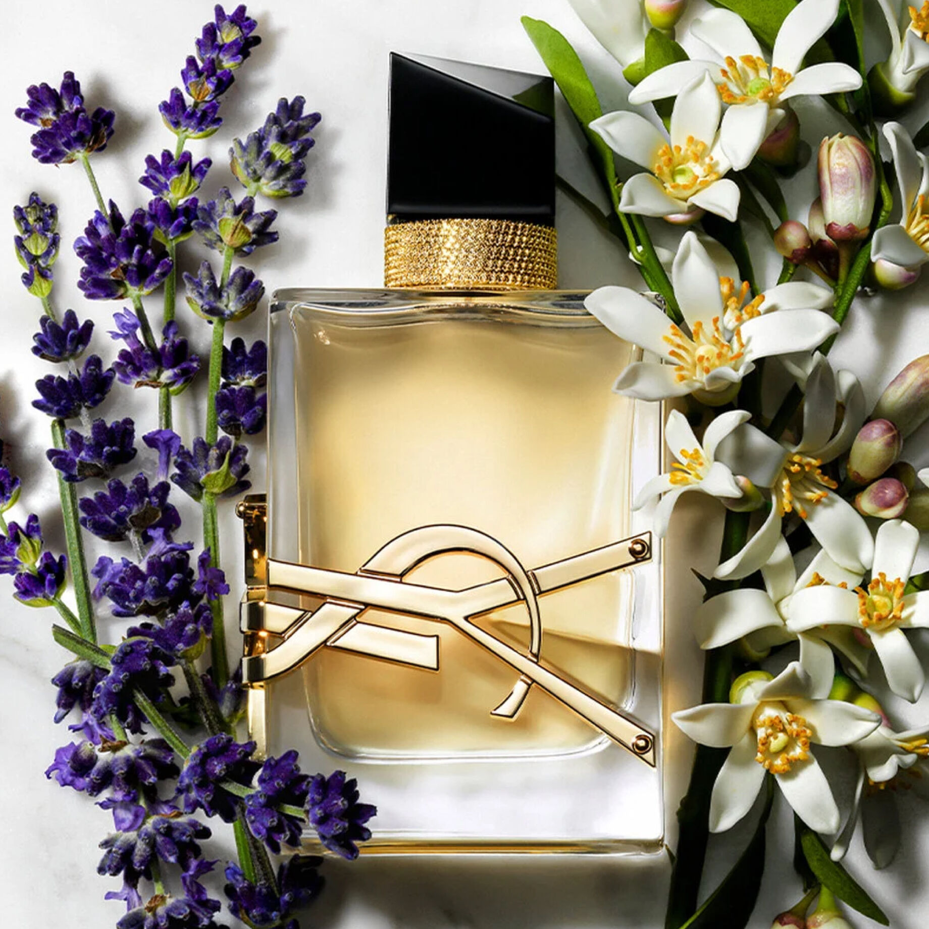 Ysl sales yellow cologne